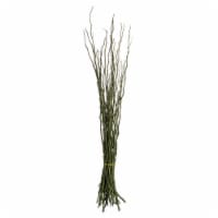35-40 Green Moneta Branches 16Oz