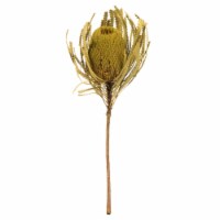 12  Basil Banksia Flower Stem 3/Pk