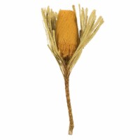 12  Yellow Banksia Flower Stem 3/Pk