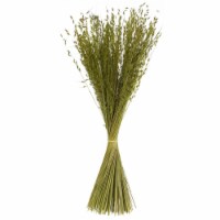 30 Basil Princess Grass 21Oz