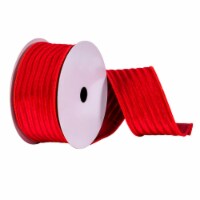 2.5 X10Yd Red Stripe Mesh/Velvet Ribbon