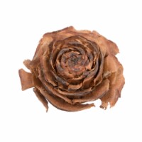 1.3 -1.8  Cedar Rose 100/Pk