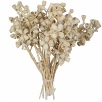 11 X2-4  Conical Gum Bleached 20Pc Bu