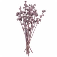 Vickerman H1RGM400 13 x 1-3 in. Frosted Branch, Erika - 14 Piece