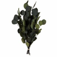 18-20 X8 Eucalyptus Pop Green 3.5Oz Bu