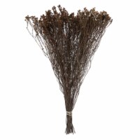 19 X4  Staavia 3.5Oz Bunch