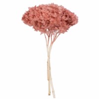 15  Erika Pink Hydrangea Stem