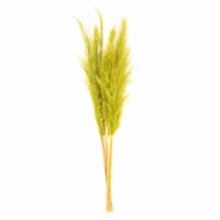 Vickerman H2PPS105-6 46 in. Pampas Grass, Light Basil Green - Pack of 6