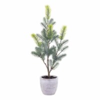 Vickerman EH213519 19 in. Blue Spruce Sapling Potted