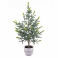 Vickerman EH213537 37 in. Blue Spruce Sapling Potted