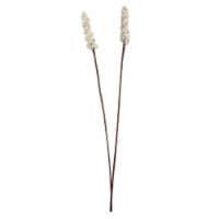 Vickerman H7SBS900 24 in. Sola Berries Stick Artificial Flowers, Natural - 24 per Bag