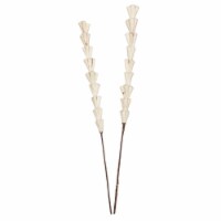 Vickerman H7SRS900 24 in. Sola Rajani Stick Artificial Flowers, Natural - 24 per Bag