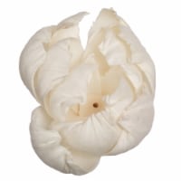 Vickerman H7SFL001 1-3 in. Assorted Peony Sola Head Artificial Flowers, Natural - 24 per Bag