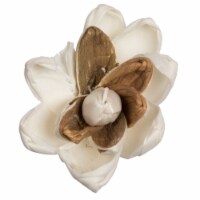 Vickerman H7SFL004 1-3 in. Assorted Lillian Sola Head Artificial Flowers, Natural - 24 per Ba