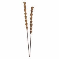 Vickerman H7SSS000 24 in. Sola Scrape Skin Cone Artificial Flowers, Natural - 12 per Bag