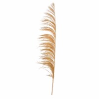 Vickerman H2UVA725 60-72 in. Aspen Gold Uva Palm Spray - 10 per Bunch