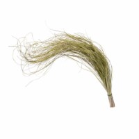 Vickerman H4BEG100-2 28-32 in. Basil Bear Grass Field Bunch, Green - Pack of 2