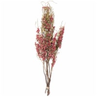 Vickerman H4PPB410 4 oz 17 to 20 in. Dried Pepper Berry Artificial Flowers Bunch, Natural Pin