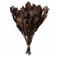 Vickerman H4SAL850 4 oz 16 to 22 in. Dried Salal Artificial Flowers Bunch, Brown