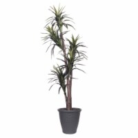 Vickerman TEX1160-RG 6 ft. Marginata Executive Tree in Round Grey Container, Green