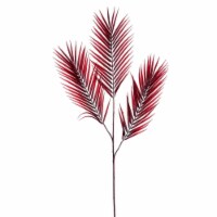 40 Burgundy Butterfly Palm Spray 3/Bag