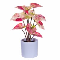 11.5 Red Leaves In Pot 2/Bag