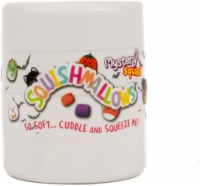 Squishmallows Mystery Halloween Plush in Capsule Perspective: Main