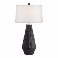 Pacific Coast Lighting Star Burst Geometric Resin Table Lamp in Matte Black
