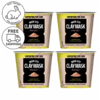 FARMSKIN 4 Packs Nourishing Brightening Pink Salt Clay Masks (Superfood)