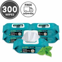 pullio - 5 Packs of Hand Sanitizer Wet Wipes 60ct - Peppermint Antibacterial Hand  Wipes