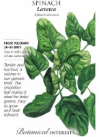 Botanical Interests Lavewa Spinach Seeds Perspective: Main