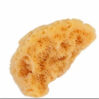 Bass Brushes Natural Sea Sponge