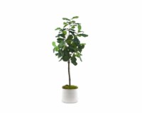 Silkcraft Large Fiddle Snakeskin Pot Plant Perspective: Main