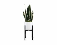 Silkcraft Faux Potted Snake Plant Perspective: Main