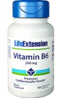 Life Extension Vitamin B6 Vegetarian Capsules 250mg