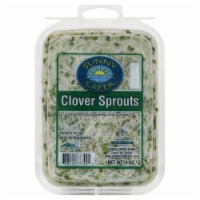 Sunny Creek™ Clover Sprouts
