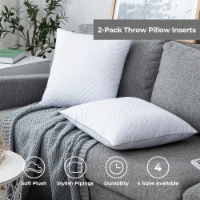 2-Pack Feather Throw Pillow Inserts Ultrasonic Quilting