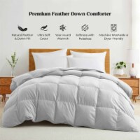 All Seasons Goose Down Feather Comforter Ultra Soft Comforter with