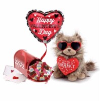 GBDS You're Purrrfect Valentine Plush Gift set with chocolates
