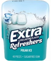 Extra Refreshers Polar Ice Chewing Gum (Pack of 20) Perspective: Main