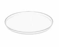 Set Of four 13 D Glass Chargers with Silver Rim