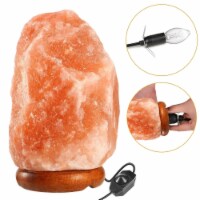 Salt Lamp Crystal Rock Salt Lamp with Dimmer Switch Hand Carved Table Lamps Night Light with
