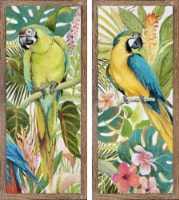 Patton Parrot Canvas - Assorted