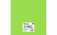 Cdstk Stash Builder 12x12 65lb 25pc Pk Green Apple