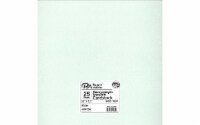Paper Pearlized 12x12 80lb 25pc Aloe