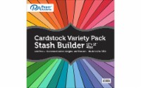 Paper Accents Stash Builder Variety Pack Card Stock 12 x 12 Inch 40 Count - Multi-Color