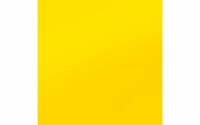 Vinyl 12x12 Sheet Remove Adh 12pc Sunshine UPC