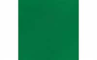 Vinyl 12x12 Sheet Perm Adh Gloss 12pc GrassGrnUPC