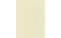 Cdstk Parchment 8.5x11 65lb 25pc Pk Natural UPC