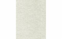 Cdstk Parchment 8.5x11 65lb 25pc Pk Gray UPC